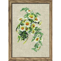 Букет ромашек 582