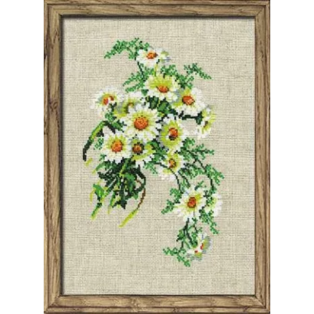 Ramunėlių puokštė 582