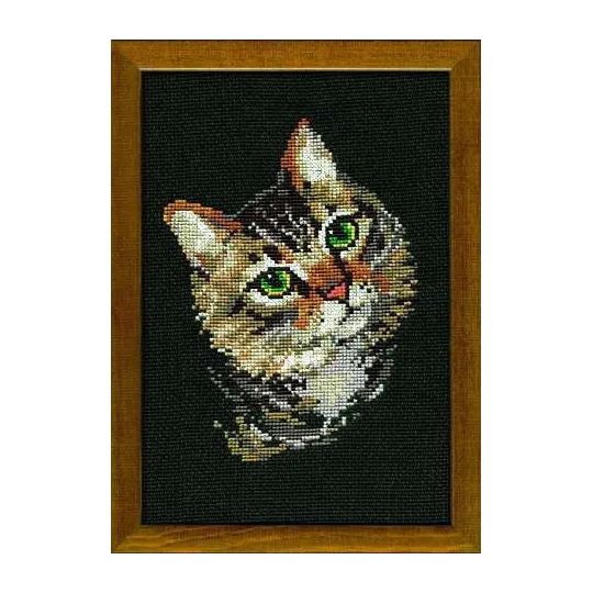 Chat Gris SR766