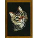 Chat Gris SR766