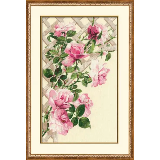 Pink Roses on Lattice 898