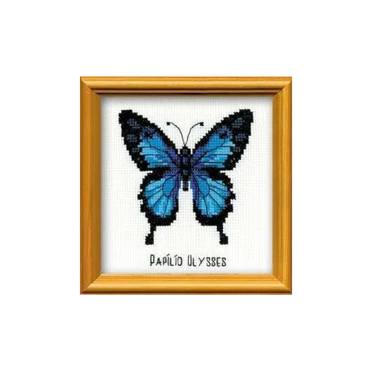 Ulysse Papillon HB095