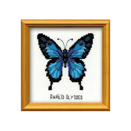 Ulysse Papillon HB095