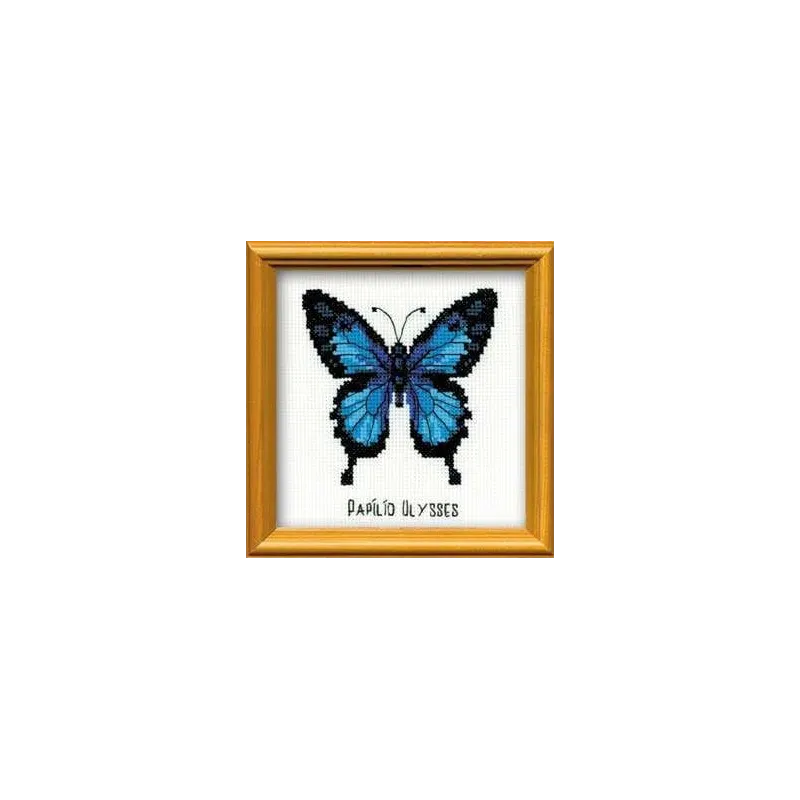 Ulysse Papillon HB095