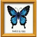 Ulysse Papillon HB095