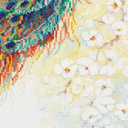 Persischer Garten SR100/029