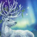 White Stag 0043 PT