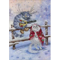 По морозу Босиком SRK-500