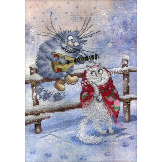 Sur la neige SRK-500