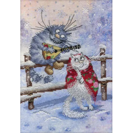 Sur la neige SRK-500