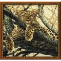 Leopardas 937