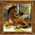 Foal and Puppy 0052 PT