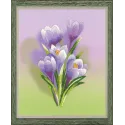 Crocus. Point de satin SRPT-0065