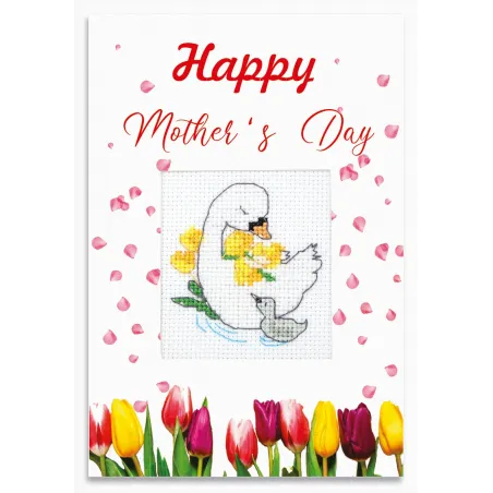 (D) Carte postale SSP104