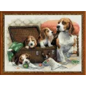 Hundefamilie 1328