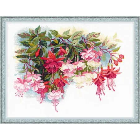 Fuchsia SR1398