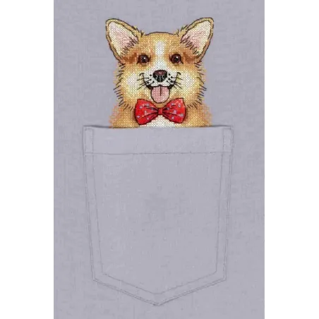 Water-soluble canvas cross sitch kit Ginger Gentleman SV-244