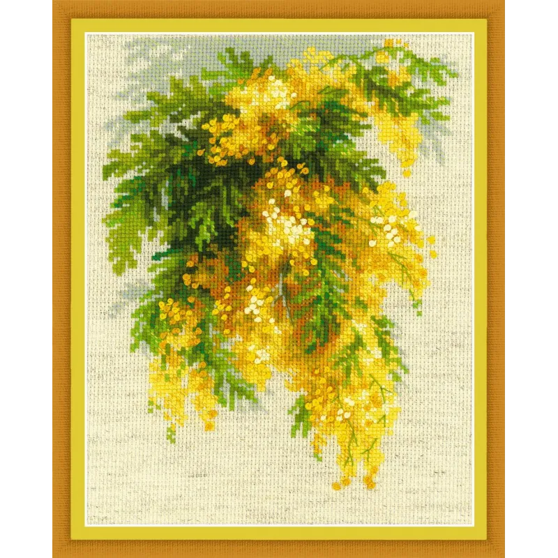 Mimose 1615