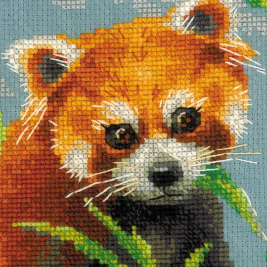 Red Panda 1627