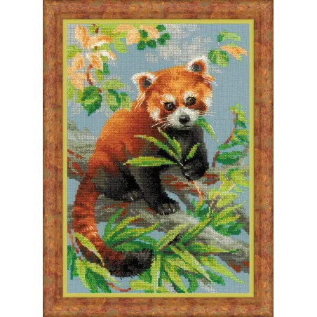 Red Panda 1627