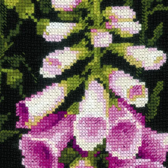 Foxgloves 1629