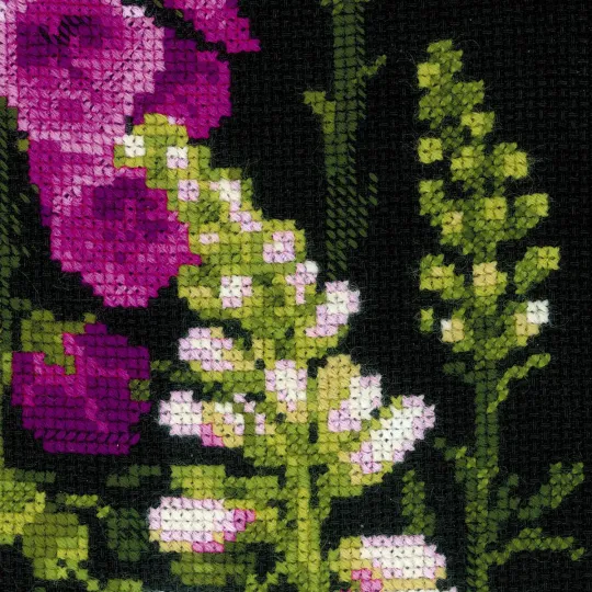 Foxgloves 1629