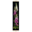 Foxgloves 1629