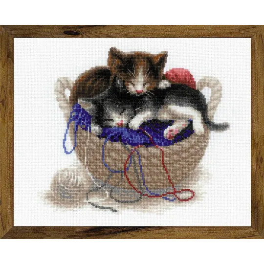 Chatons dans un panier SR1724