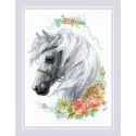 White Mane and Roses SR1804