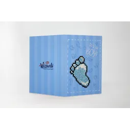 Tai berniukas WC0438