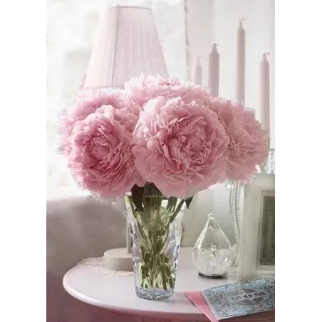 (D) Pivoines Douces 27*38 cm WD002