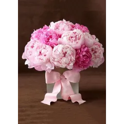 (D) Peonies with Ribbon 27*38 cm WD003