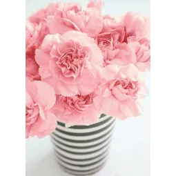 (D) Moderne 27*38 cm WD005