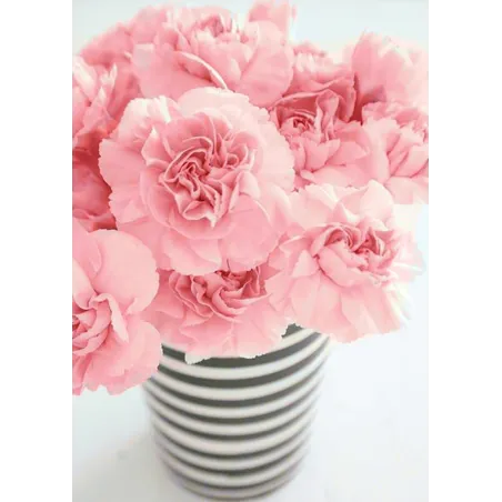 (D) Moderne 27*38 cm WD005