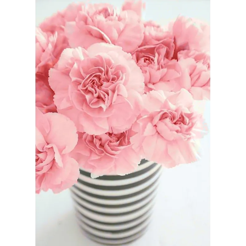 (D) Moderne 27*38 cm WD005