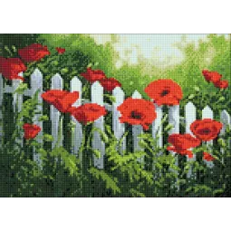 (D) Garden Poppies 38*27 cm WD008