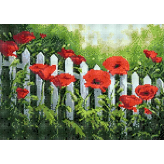 (D) Gartenmohnblumen 38*27 cm WD008