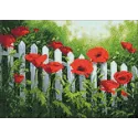 Coquelicots de jardin 38*27 cm WD008