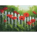 Garden Poppies 38*27 cm WD008