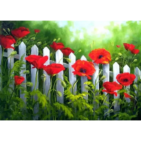 (D) Gartenmohnblumen 38*27 cm WD008