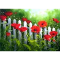 Coquelicots de jardin 38*27 cm WD008