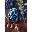 SALE (Discontinued) Chocolate and Blueberries 38*48 cm WD046