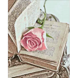 (D) Love Novel 38*48 cm WD052