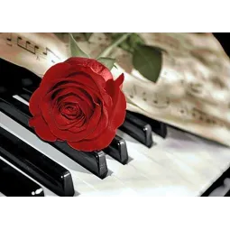 (D) Rose Music 38*27 cm WD053