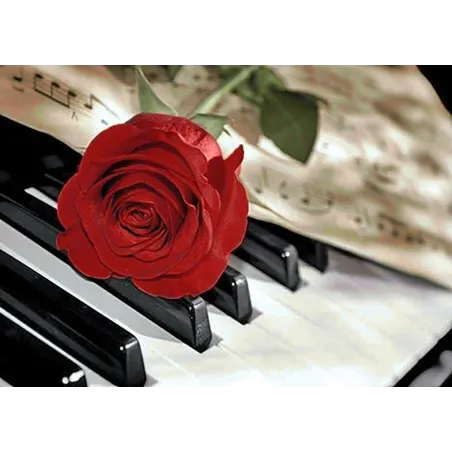 Rose Music 38*27 cm WD053