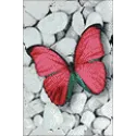 (D) Pinker Schmetterling 20*30 cm WD054