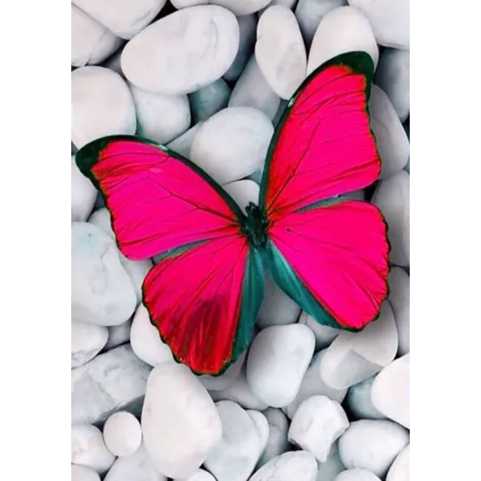 (D) Pinker Schmetterling 20*30 cm WD054