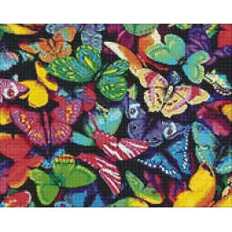 (D) Papillons Arc-en-ciel 48*38 cm WD057