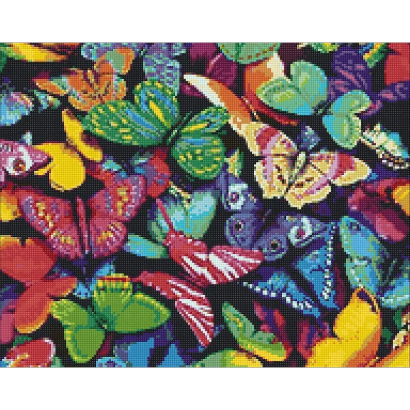 (D) Regenbogen Schmetterlinge 48*38 cm WD057