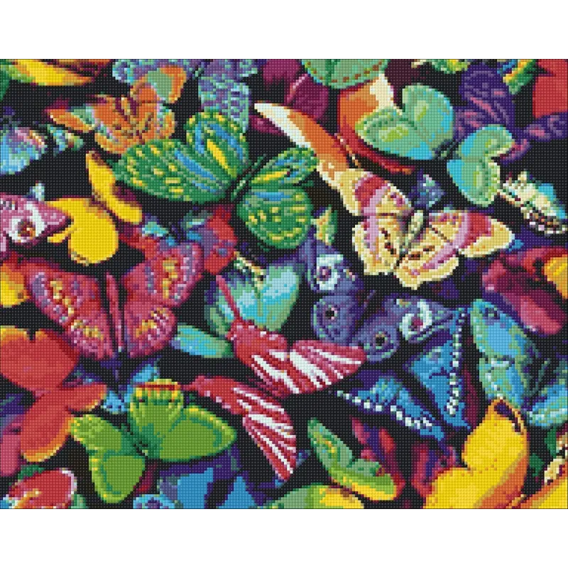 Rainbow Butterflies 48*38 cm WD057